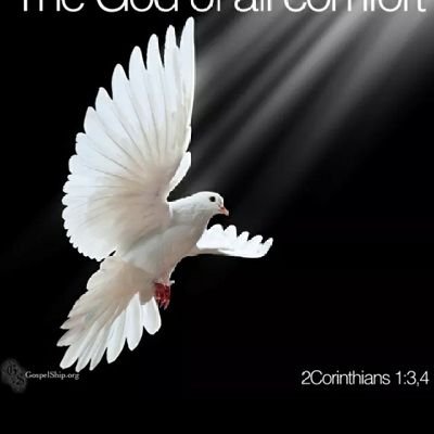 sureshr95928966's profile picture. 🙏god bless you allall🙏(7🐋)