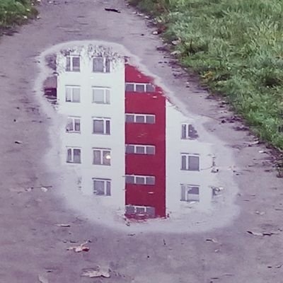 Micha38845486's profile picture. Jestem komikiem.