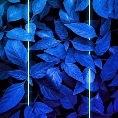 renad__mohammed's profile picture. 