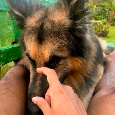 AselMeemeduma's profile picture. Be the change that you wish to see in the world.