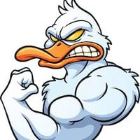 Brian (@duckxinc23) 's Twitter Profile