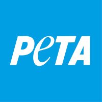 PETA Deutschland(@PETADeutschland) 's Twitter Profile Photo