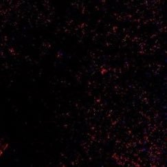 rowrownin's profile picture. ↑20