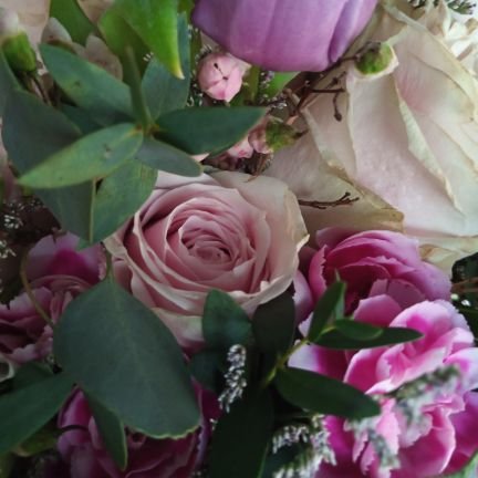 Sasuke06774791's profile picture. hi