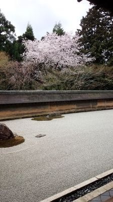 IshidaTakatoshi's profile picture. 