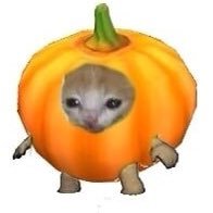 kaaaaaleew's profile picture. TW:рпп/ed
