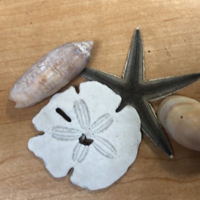 CPAMEDR's profile picture. Catching the worm; Gen Peds; children’s writer, interests: derm, MH, adolescents, #medtwitter; boy mom, #ally she/her