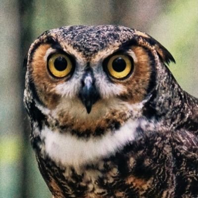 philwilliams766's profile picture. 