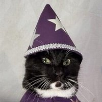 РаZработчикъ (@developercat) 's Twitter Profile