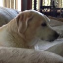 Jerry Falls - @JerryFalls11 - Twitter