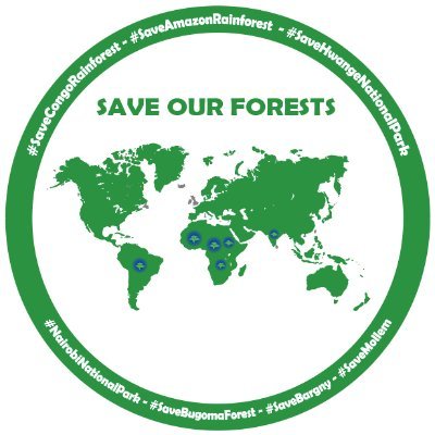 I'm a bot retweeting to save our threatened forests in the world 24/7 and #followback. What's the new forest that need to be saved? 🌲 By @ClimateandEnv