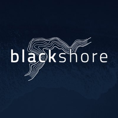 BlackshoreLLC Profile Picture