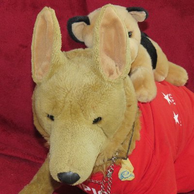 Derspieler7's profile picture. Notizen aus der Provinz. Roter als rot, (auch) im Fußball.