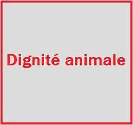 Pour la protection des animaux et de leur environnement. Contre la cruauté animale: abattoirs, corrida, vivisection, fourrure, élevage intensif, zoo, cirque...