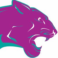 RCSP Pumas (@rcsppumas) 's Twitter Profile