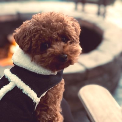 beniburns's profile picture. friend and lover