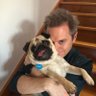 DrWez's profile picture. pug owner. raconteur. grateful. vaccinated. Brisbane 🦁. LUFC. #MOT FPL enthusiast/tragic.