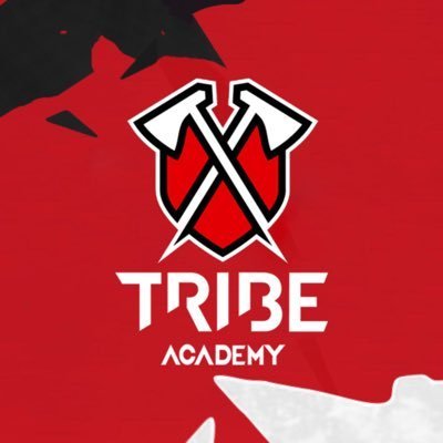 Tribe Academy ES