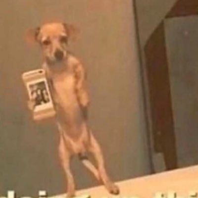 percoholicbitch's profile picture. Fucc you bitch