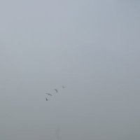 Jan Clemens (@postpop01) 's Twitter Profile