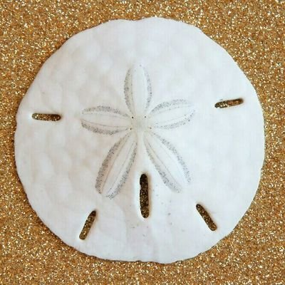 iamsunflwr_'s profile picture. ⠀ ⠀ ⠀ ⠀ᅟᅟᅟᅟᅟ    

⠀ ⠀ ⠀ ⠀