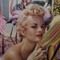 Miss Tartan (@ta55660738fiona) 's Twitter Profile