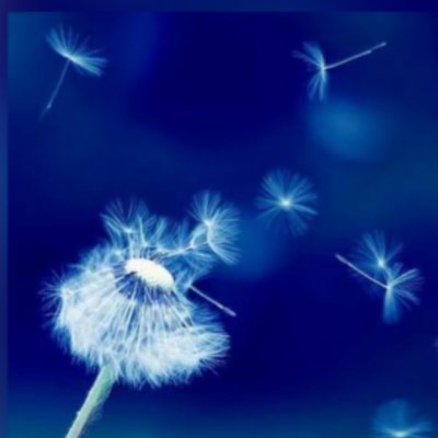 Beyondborders73's profile picture. 