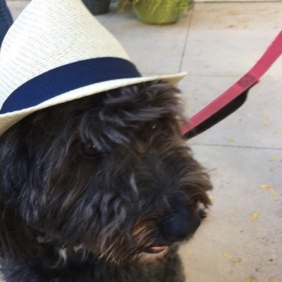 kjc031507's profile picture. You'll never be disappointed if you're never hopeful -Me