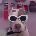 Maximus Jimenez - @jimenez_maximus - Twitter