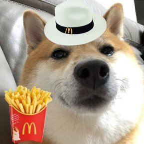 PeraAlla's profile picture. 21 | ⚪️⚫️ | CL16 🇲🇨 | PG10 🇫🇷