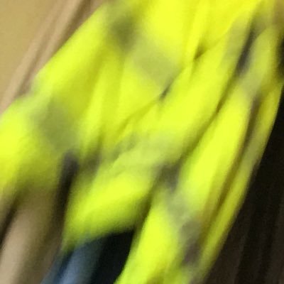 wylting's profile picture. 