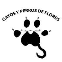 gypdeflores Profile Picture