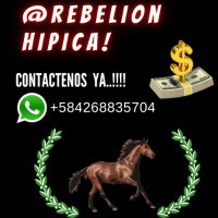 Rebelion Hipica (@rebelionhipica) 's Twitter Profile Photo Rebelion Hipica (@rebelionhipica) 's Twitter Profile Photo