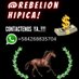 Rebelion Hipica (@RebelionHipica) Twitter profile photo