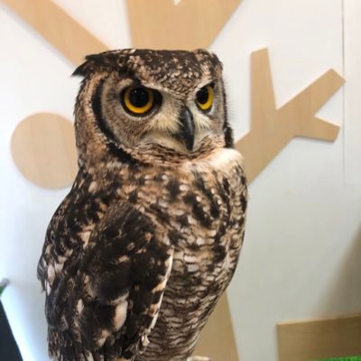 nk_engineer7903's profile picture. |#プログラミング初心者|テックアカデミーPHPコース受講中
就活終わったのでプログラミングの勉強始めます。