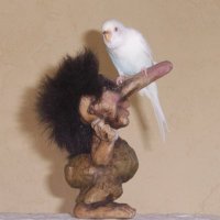 Steve (@happytheman57) 's Twitter Profile Photo Steve (@happytheman57) 's Twitter Profile Photo