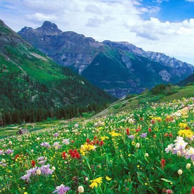 一片秋花 Gtnypkjwxpzbzsq Twitter