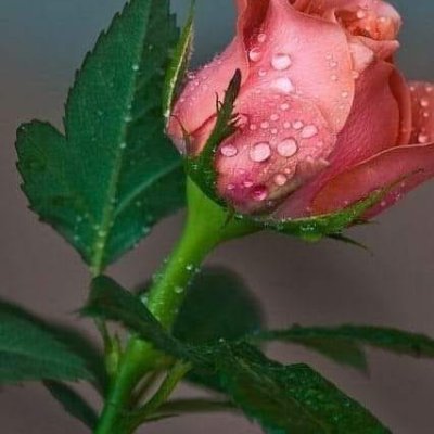 I need true love and care and i want you to have faith in me and have trust in me and you will have the same