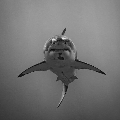 AbrajanGerry's profile picture. 