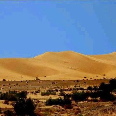 KA2dn2QArInkZMi's profile picture. ‏‏‏‏‏‏وطني