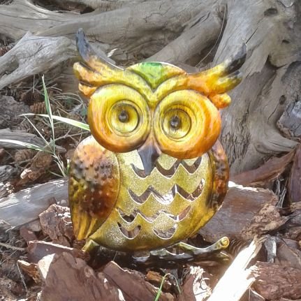 pattage23's profile picture. Natural world - beautiful in every season!
Edmonton Oilers, Tottenham Hotspur, Formula 1; all things 🇨🇦.  📷 mine (except RTs)