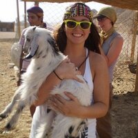 Danielle Barr (@theopenbarr) 's Twitter Profile