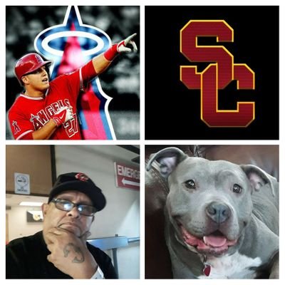 Southern Cal Trojans & Anaheim Angels  # 1 🏈  # 1 ⚾️  Most Valuable 
Fan For Life  #1 MVF !  #FIGHT ON