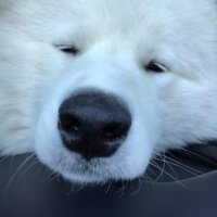 Rick Lund (@ricklund23) 's Twitter Profile