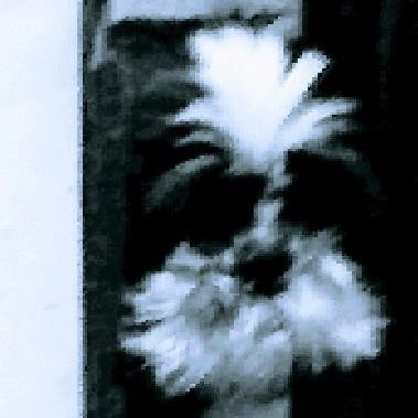 ShippeYoshihisa's profile picture. 広告業界でWebデザイン制作、コンテンツの販売をしております。趣味音楽　ギター（ジャンル：ロック、ＪＡＺZ，ブルース、宅録etc）特技柔道（初段😅）鉛筆画