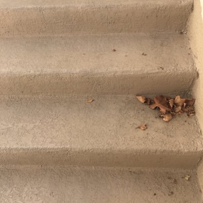 lat560's profile picture. Only my thoughts