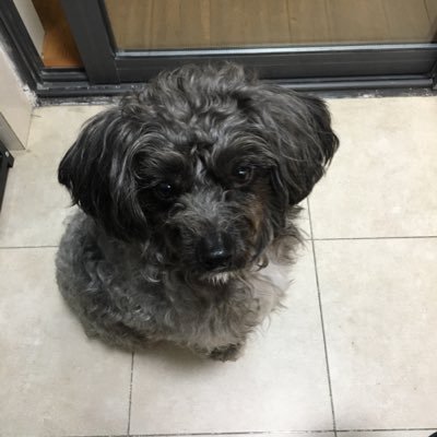 biAlnWV6LO3BPrc's profile picture. 