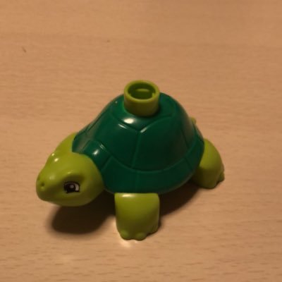 いなむーさんのプロフィール画像