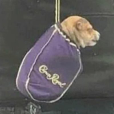 sea____food's profile picture. no, we just make normal tweets the normal way