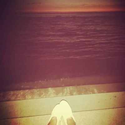 StephyTrapp's profile picture. 